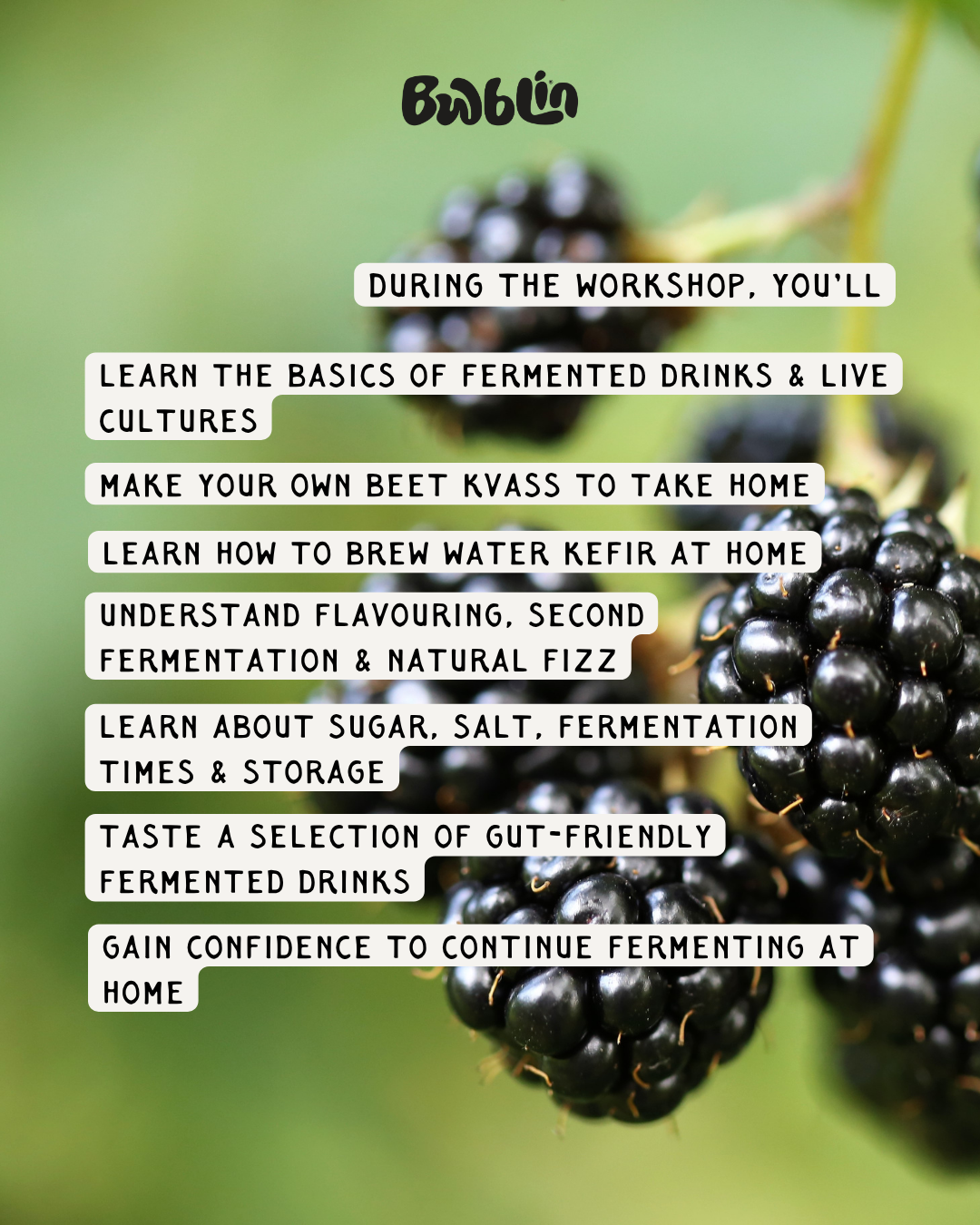 Water Kefir & Beet Kvass Workshop