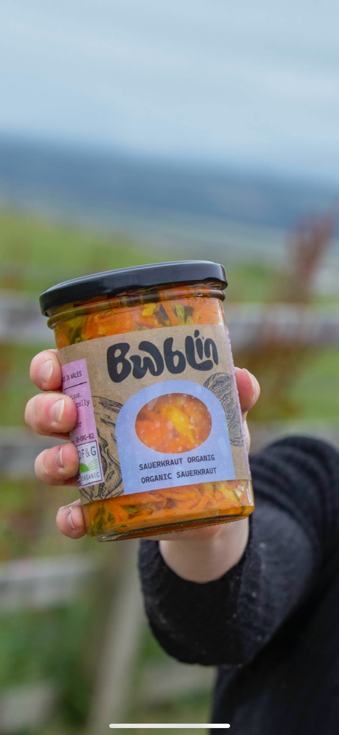Organic Sauerkraut Collection