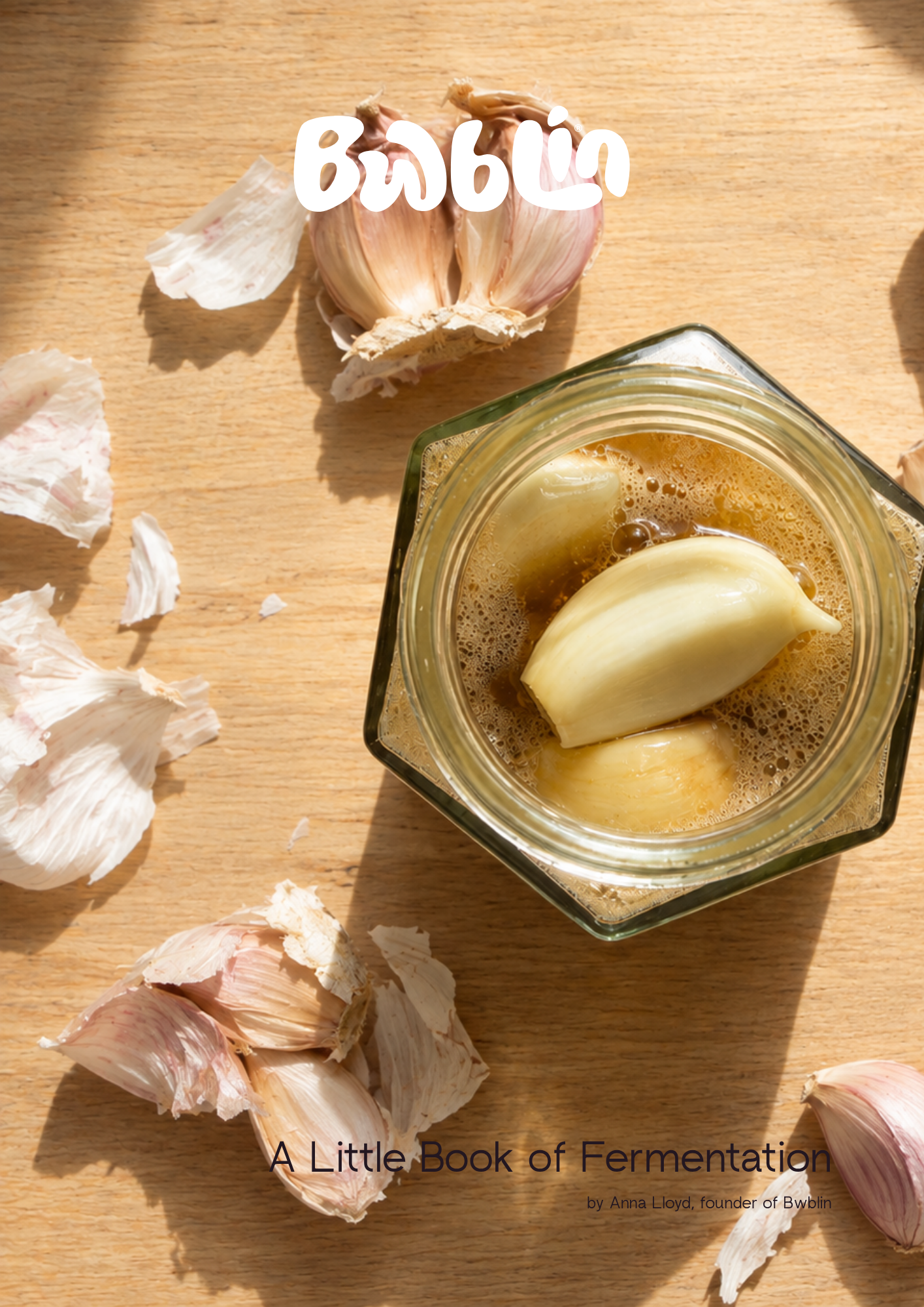 A Little Book of Fermentation (Digital Ebook)