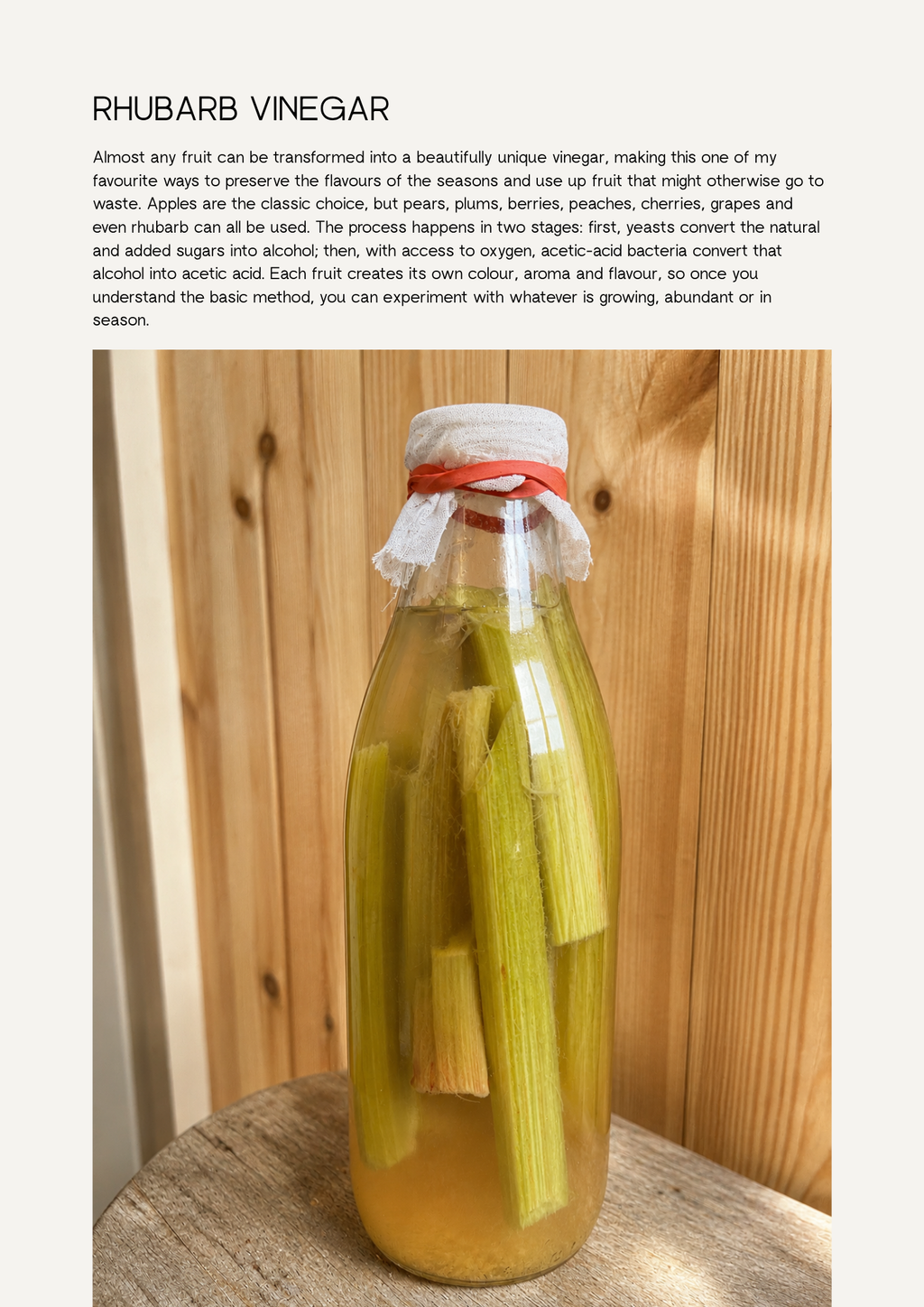 A Little Book of Fermentation (Digital Ebook)