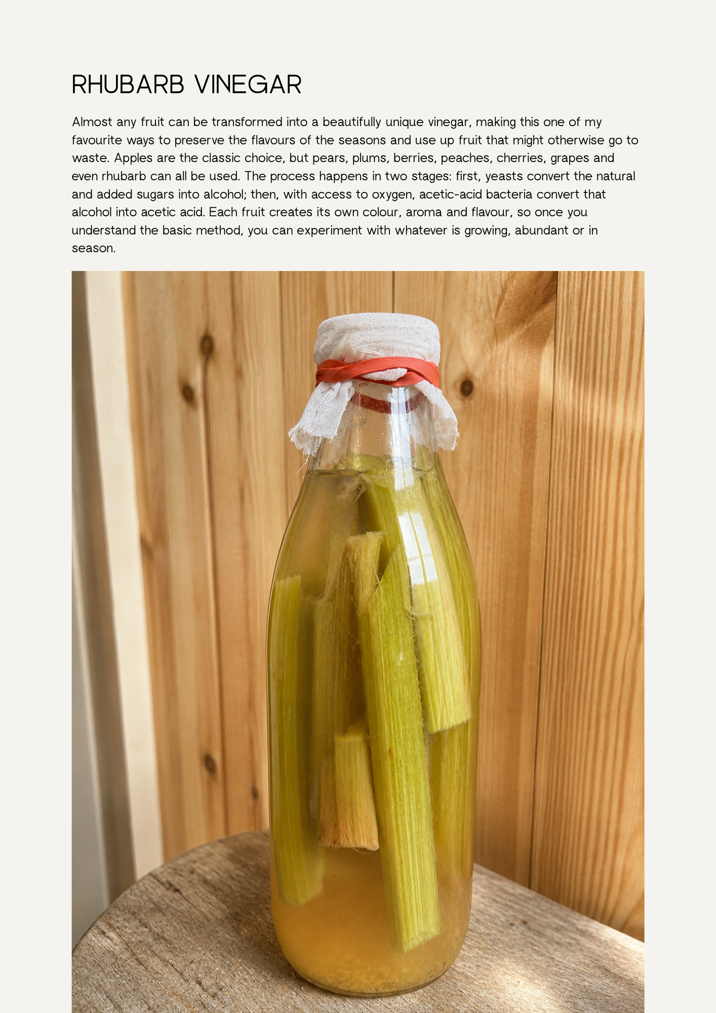 A Little Book of Fermentation (Digital Ebook)