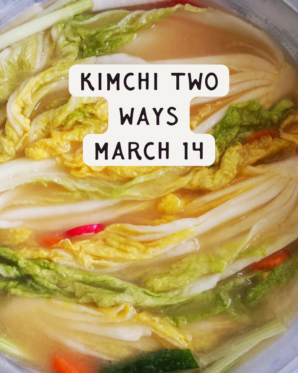 WORKSHOP 2 — MARCH 14