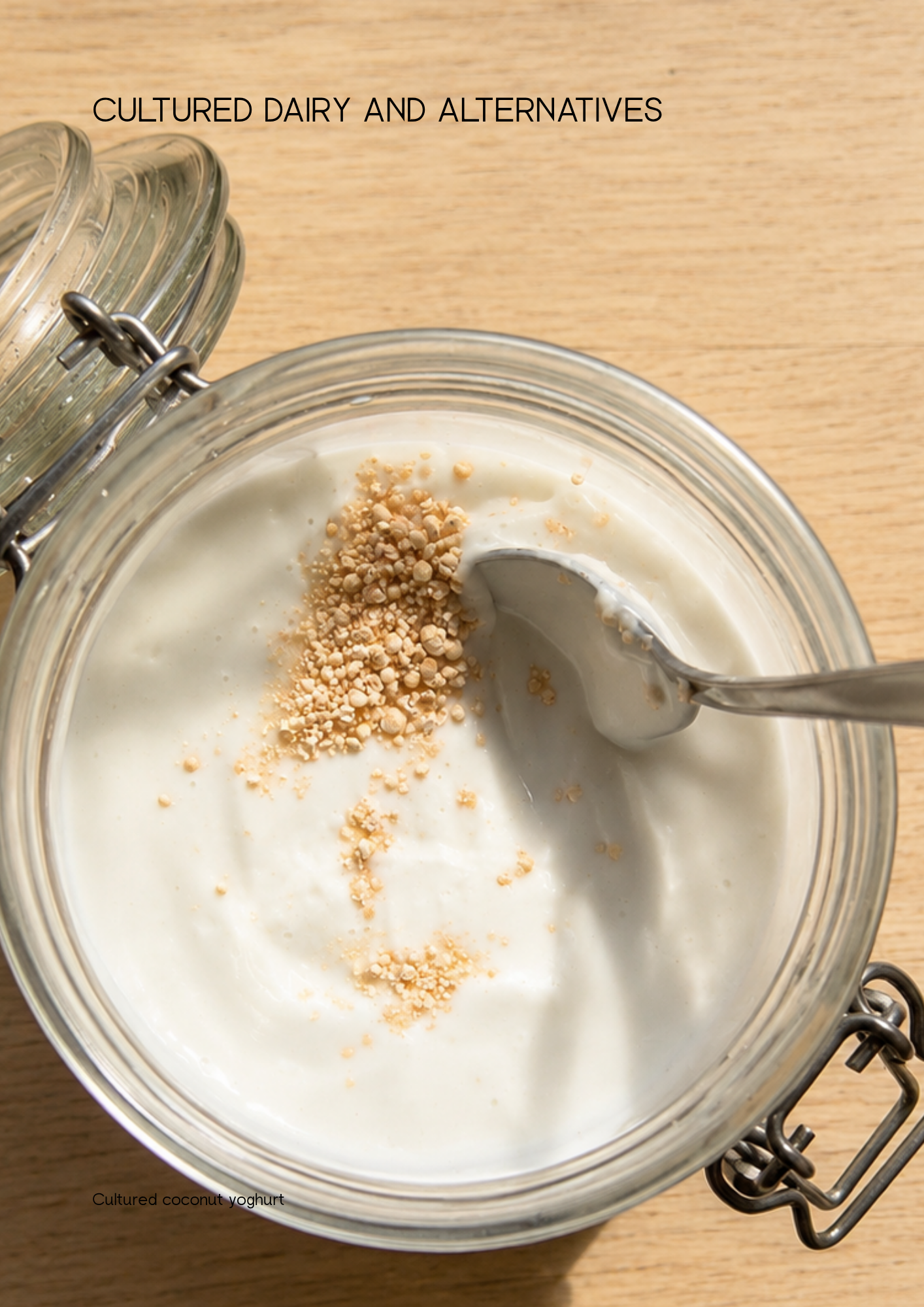 A Little Book of Fermentation (Digital Ebook)