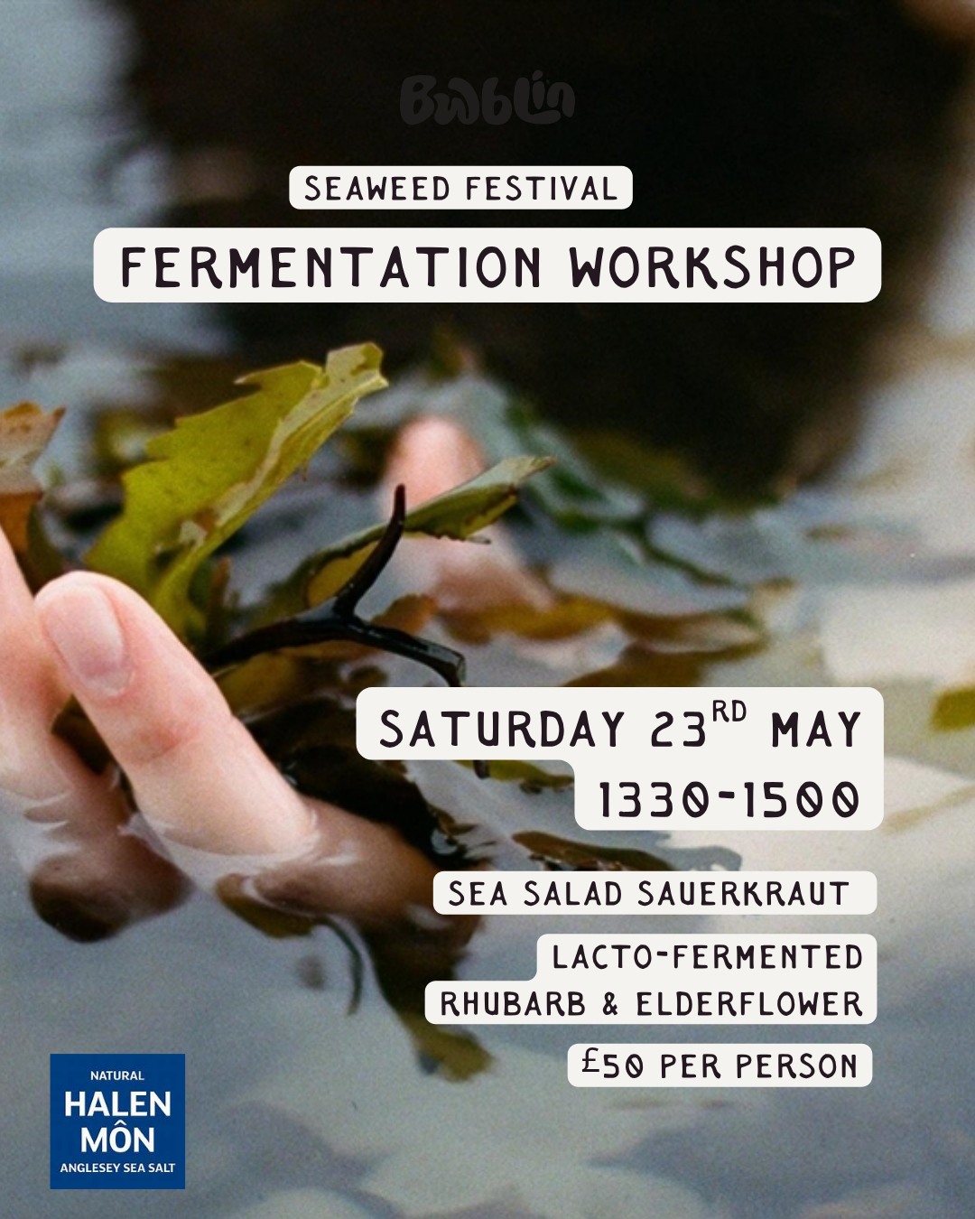 Seaweed Festival Workshop