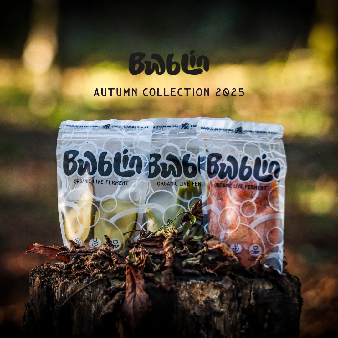 Three packages of 'Wublin' organic live ferment on a wooden stump with a blurred natural background.