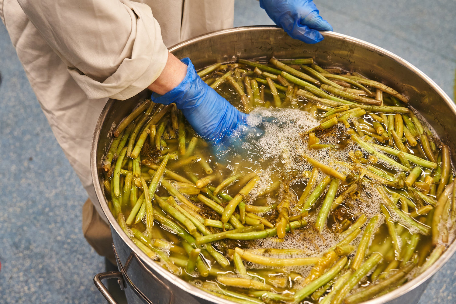 Person in a beige coat and blue gloves handling green beans in a large pot of boiling water.