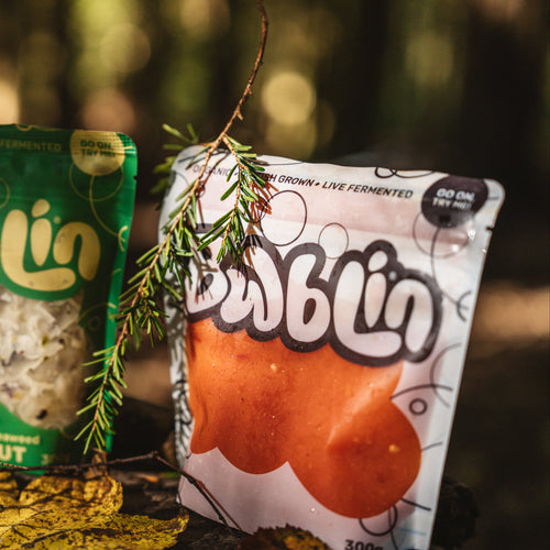 Three bags of Dublin sauerkraut arranged on a log outdoors with a blurred forest background. The center bag is green and labeled 'Cured Garlic & Seafood Sauerkraut,' and the right bag is white and orange with 'Grown + Live Fermented' text.