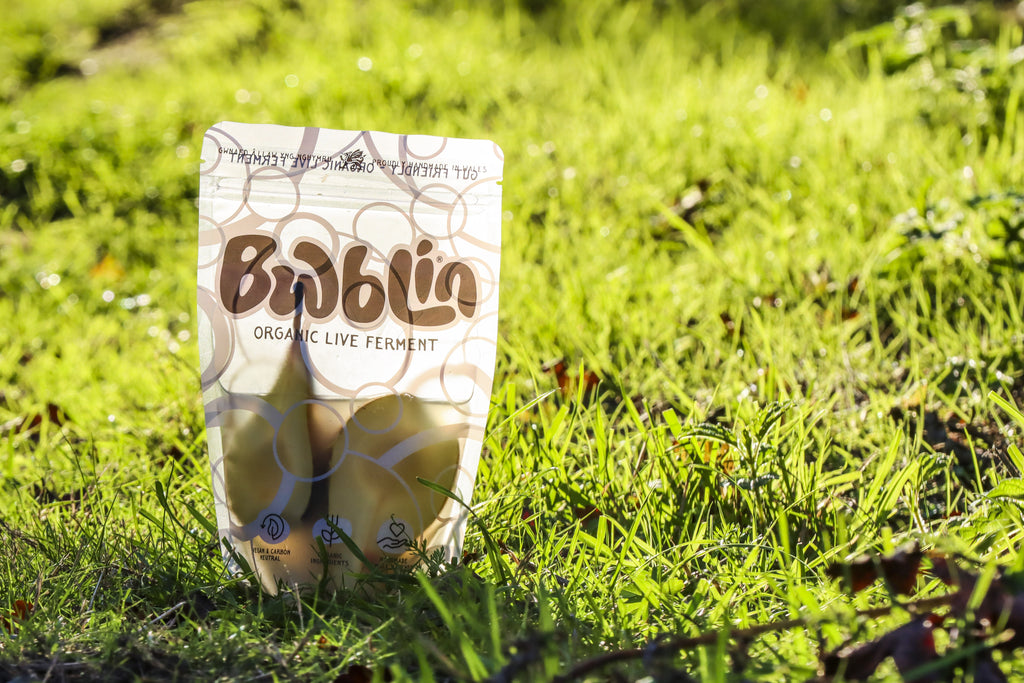 Bwblin organic live ferment package on grass