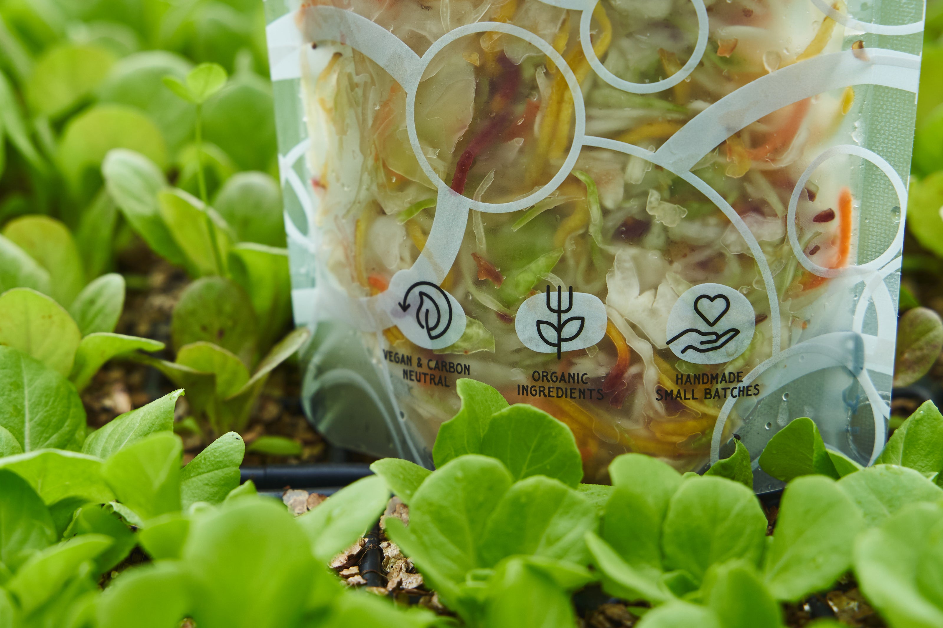 Packaged salad mix with brand logos on a bed of green leaves