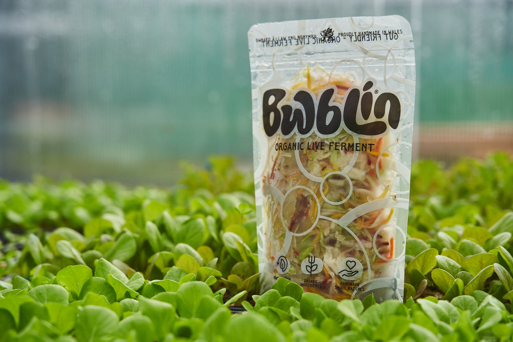 Package of Bwblin organic live ferment on a bed of green plants