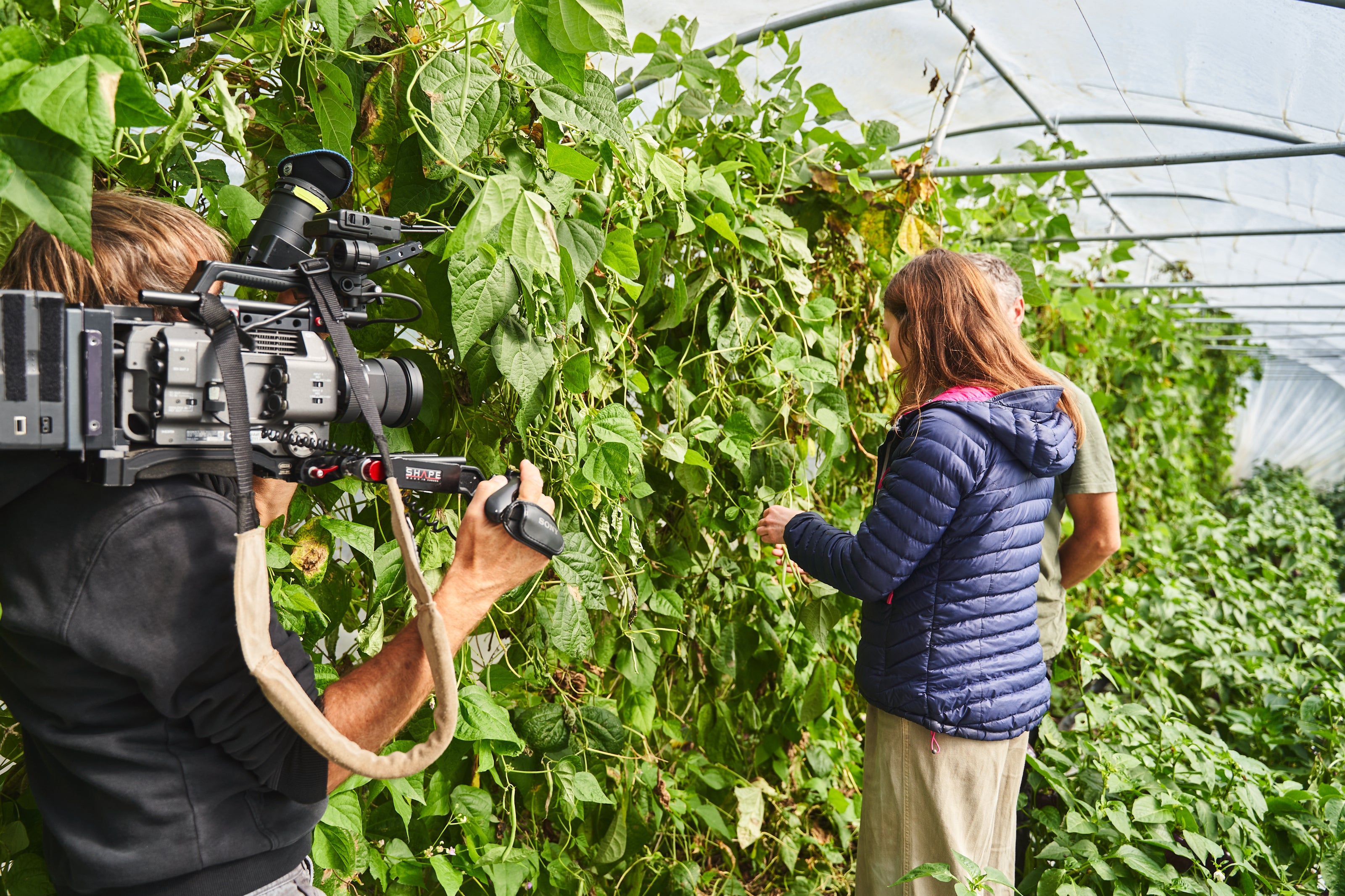 Person filming another person in a greenhouse with plants