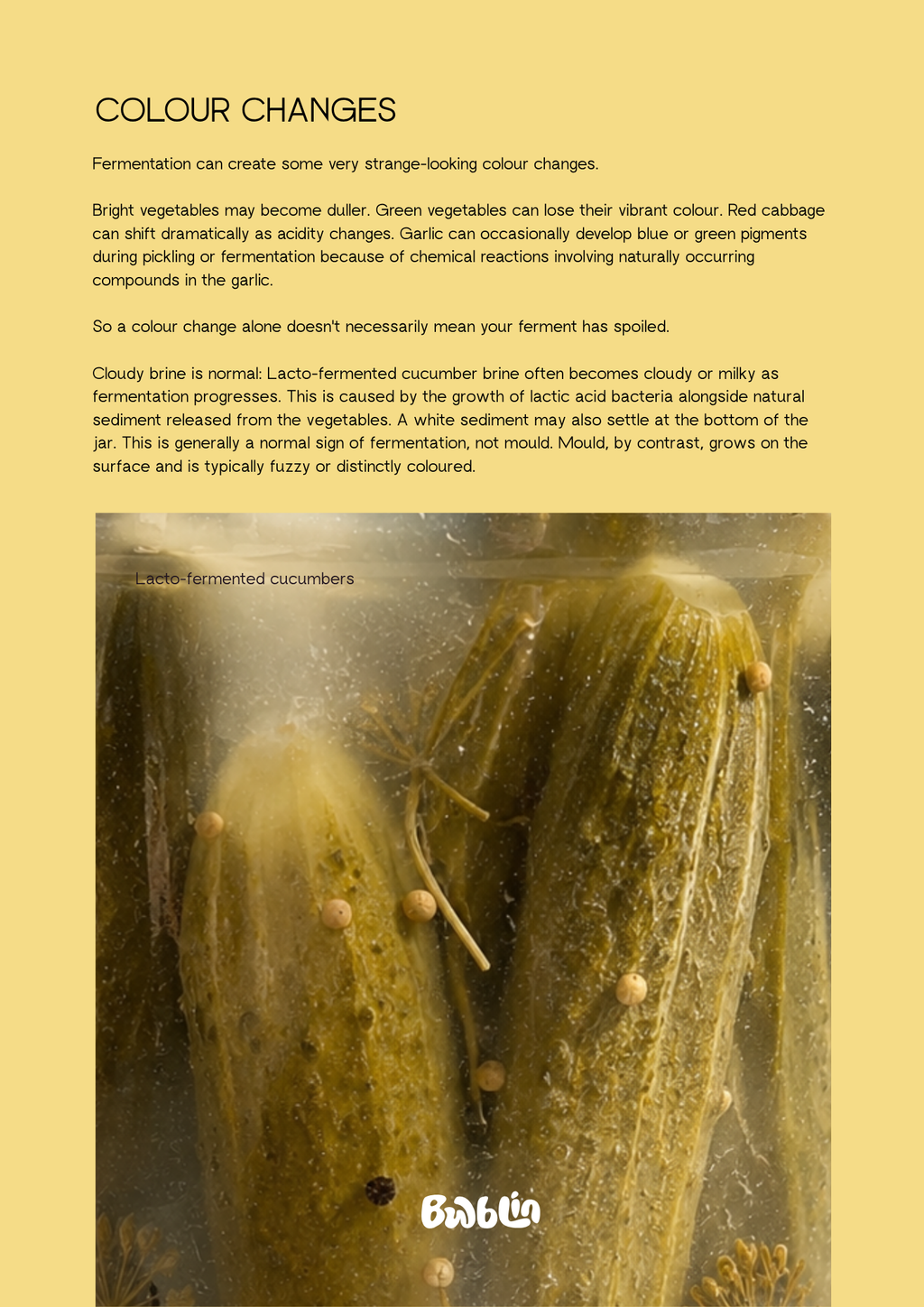 A Little Book of Fermentation (Digital Ebook)