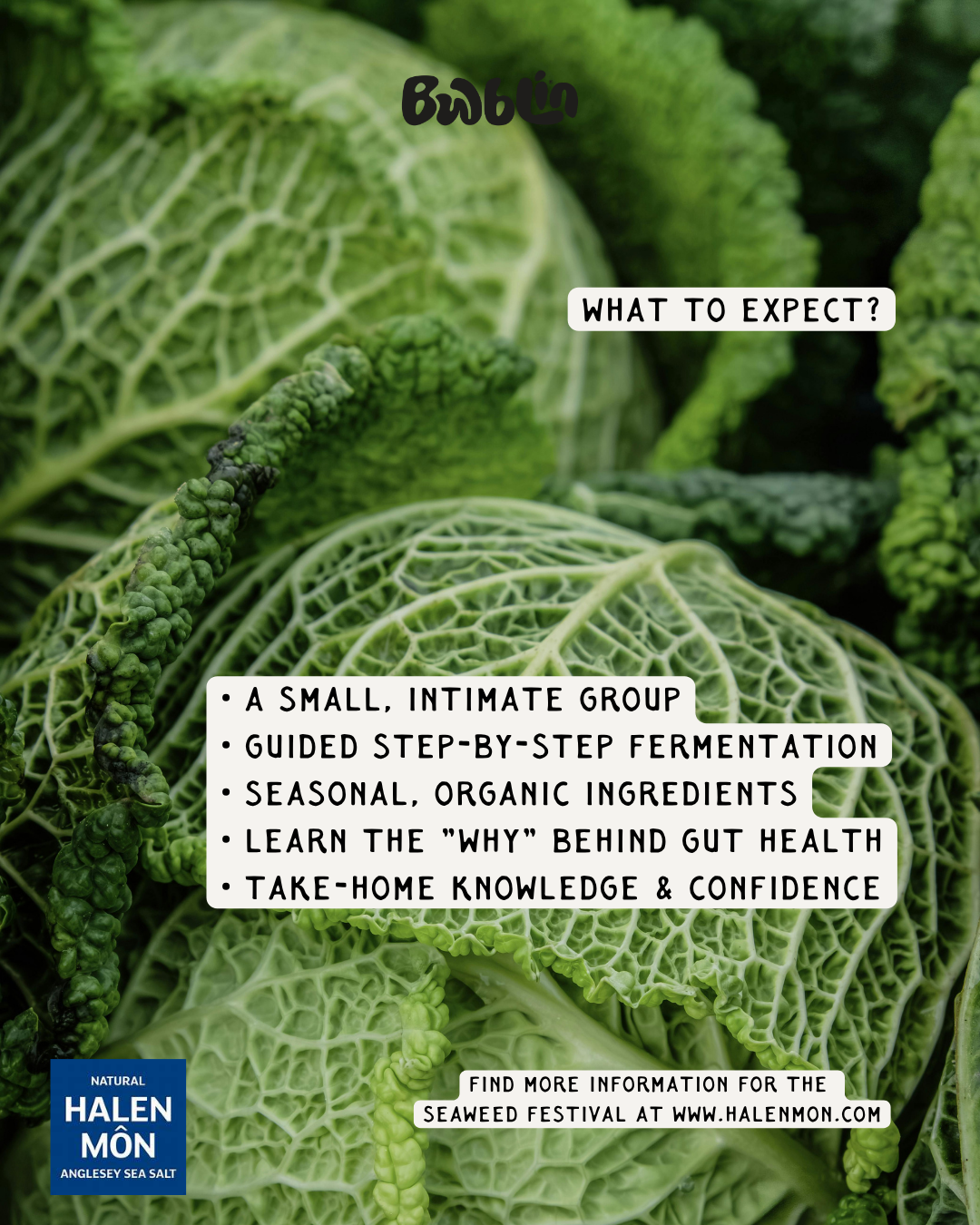 Seaweed Festival Workshop