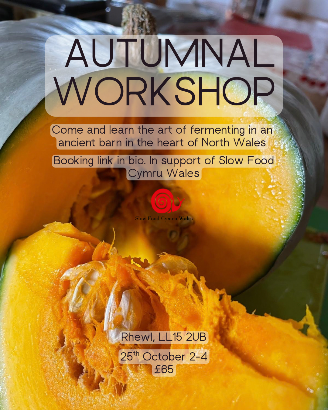Kimchi Workshop, Rhewl
