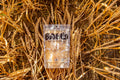 Slow Roasted Garlic Sauerkraut Organic