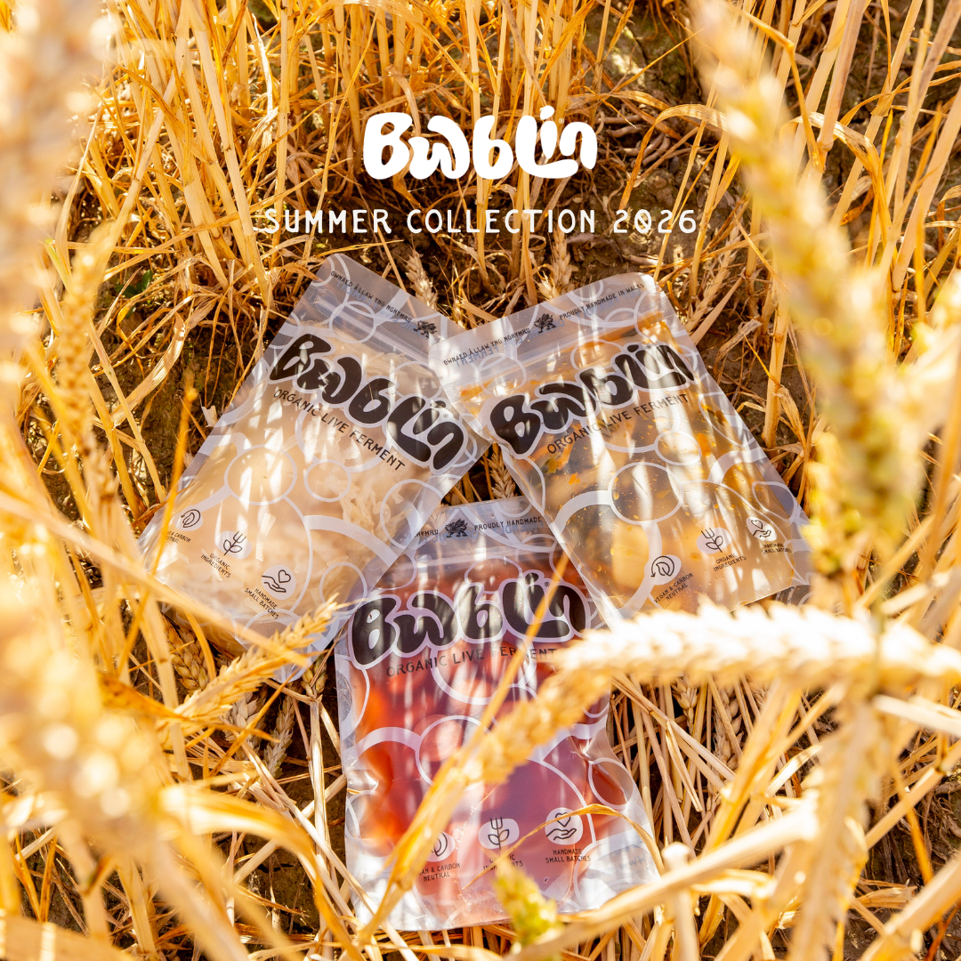 Three clear plastic snack pouches labeled 'Barloco' and 'Summer Collection 2026' placed among golden wheat stalks outdoors.