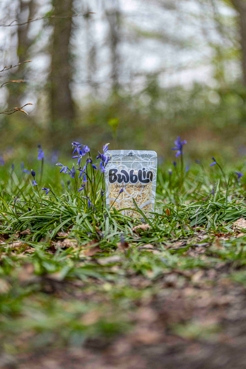 bwblin product packaging in a field of blue flowers with blurred trees in the background
