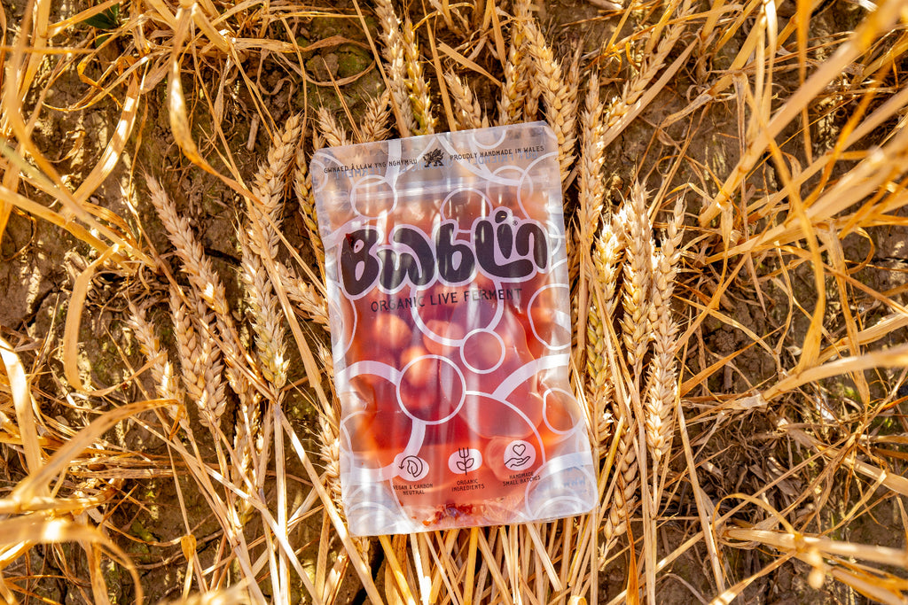 A clear stand-up pouch of red radishes a white and black 'Bwblin' logo, placed on a background of dry golden wheat stalks.