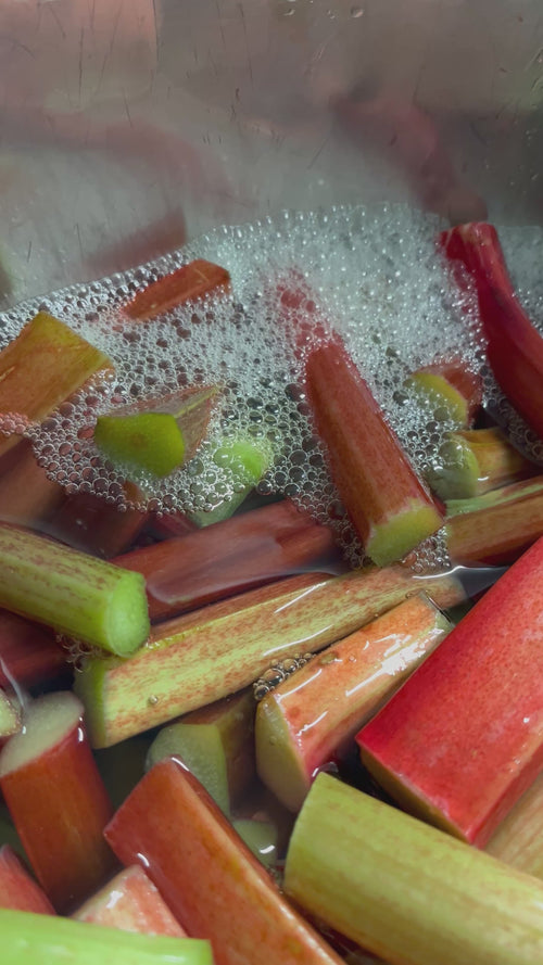 Bubbling Rhubarb and Vanilla Ferment